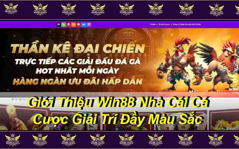 Giới Thiệu Win88 – Nhà Cái Cá Cược Giải Trí Đầy Màu Sắc